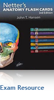 Netter's Anatomy Flash Cards