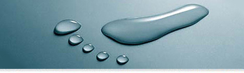 Podiatry (DPM)