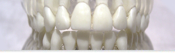 Dentist