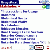 graysanat_palm.gif